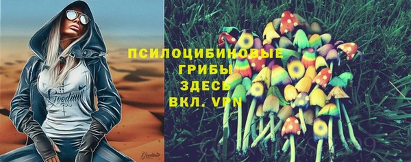 твердый Краснотурьинск