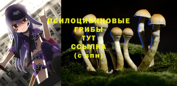 ГАЛЛЮЦИНОГЕННЫЕ ГРИБЫ Краснослободск