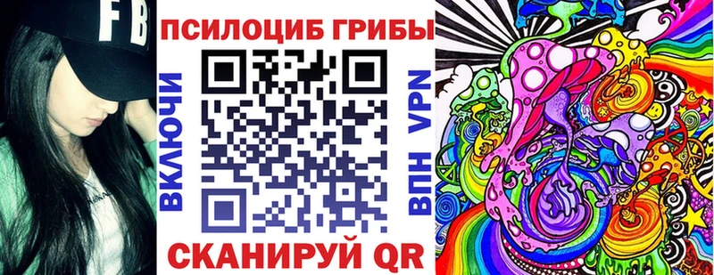 Купить закладки  Новоалтайск  Галлюциногенные грибы Cubensis 